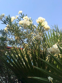 ss_002.jpg
